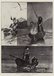 Meeresfischen vor der Küste der Bretagne